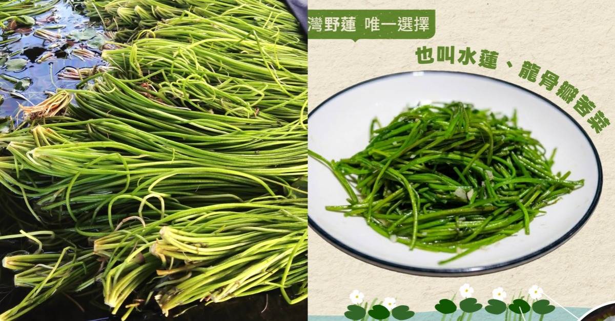 封面圖片來源：荒野保護協會、農業部