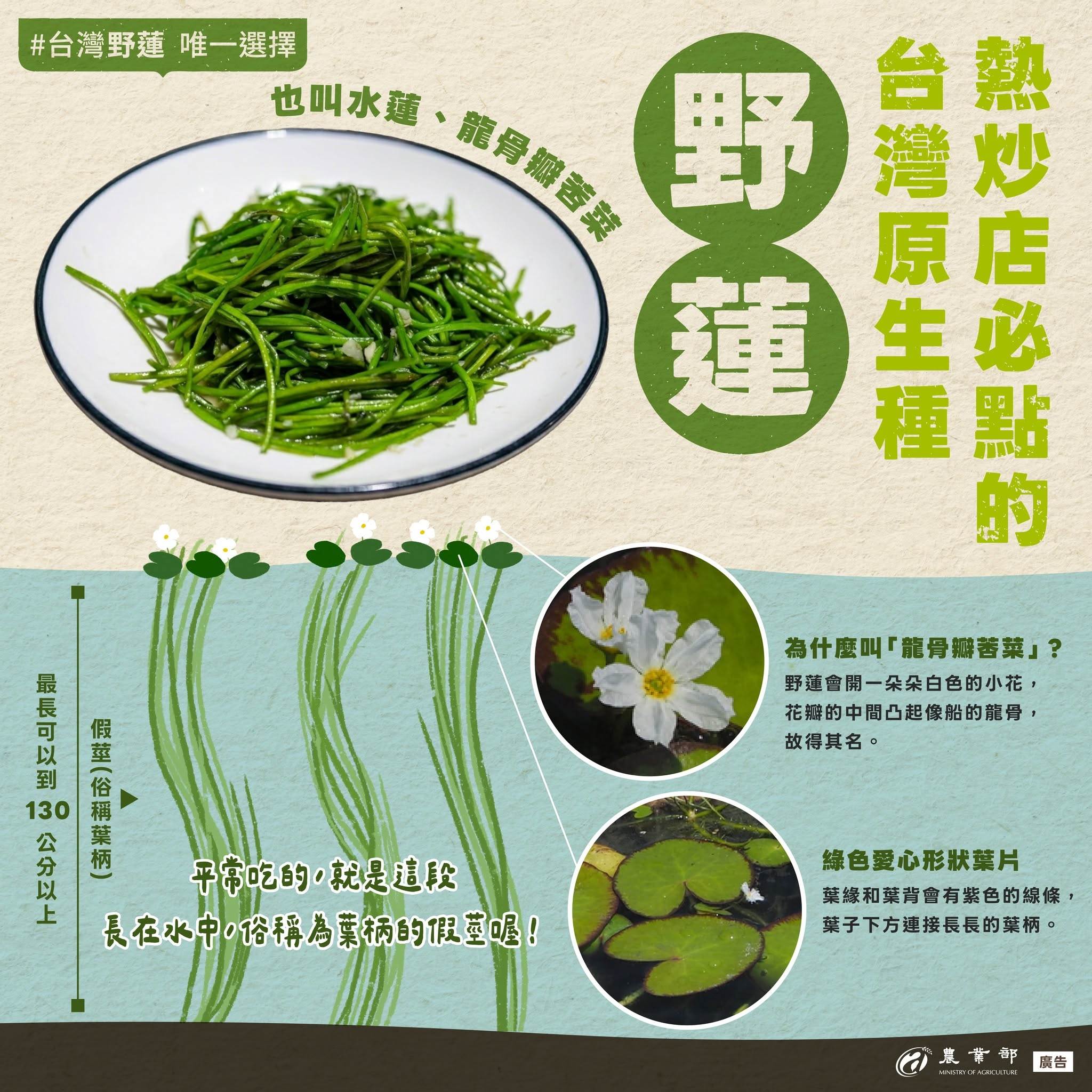 圖片來源：農業部