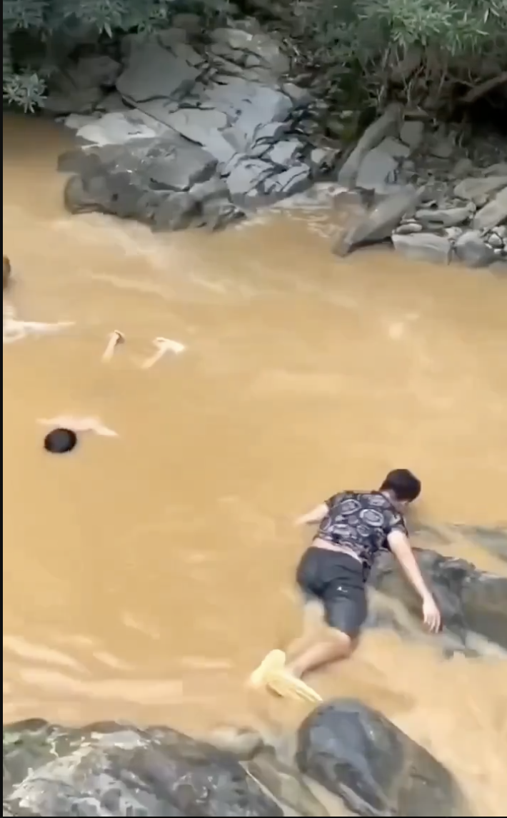 圖片來源：X