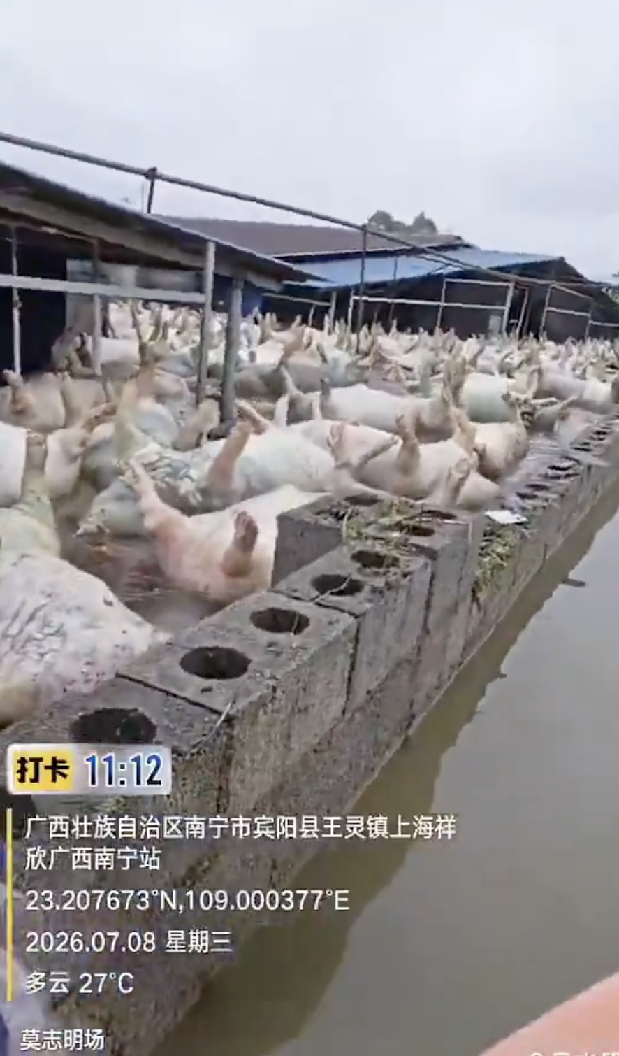 圖片來源：X