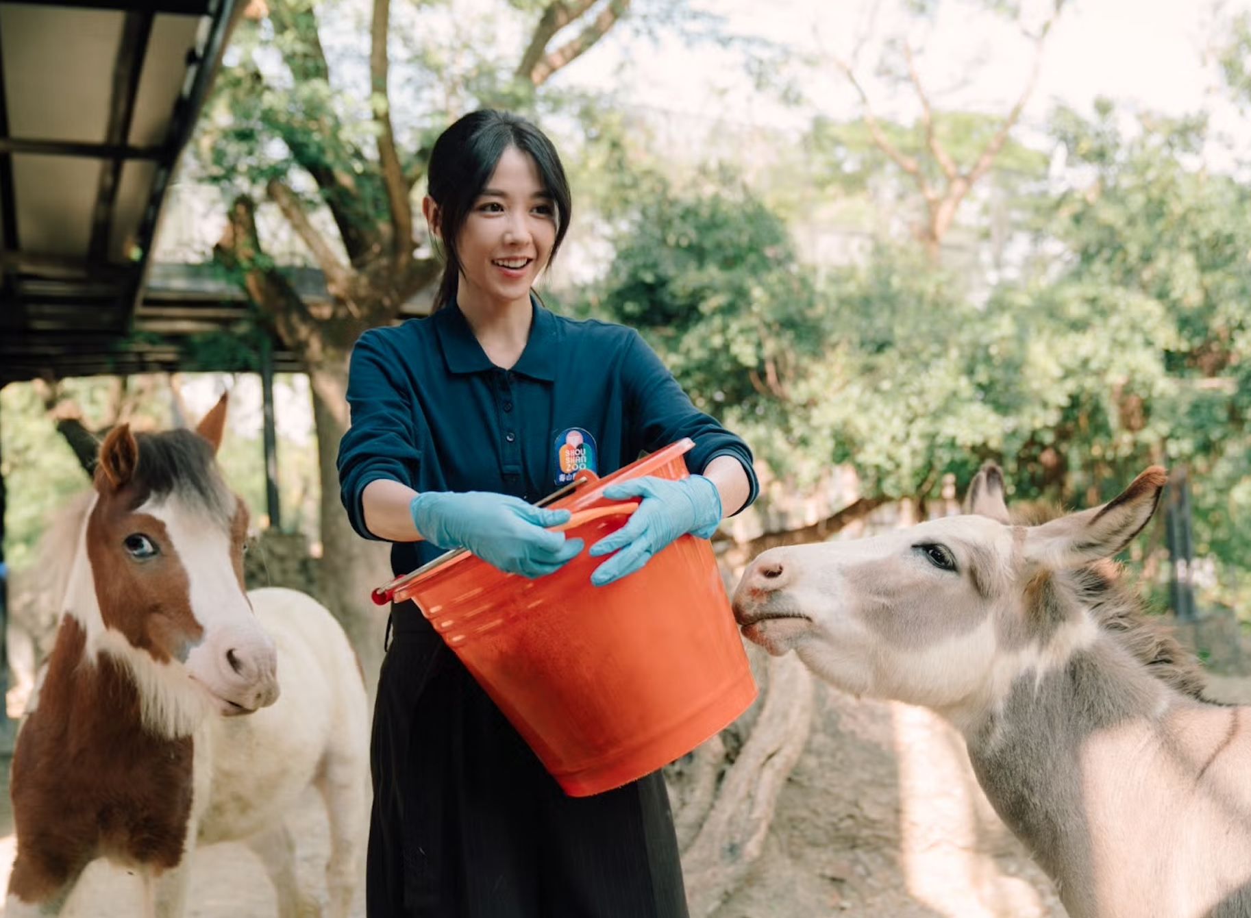 圖片來源：FB@動物園