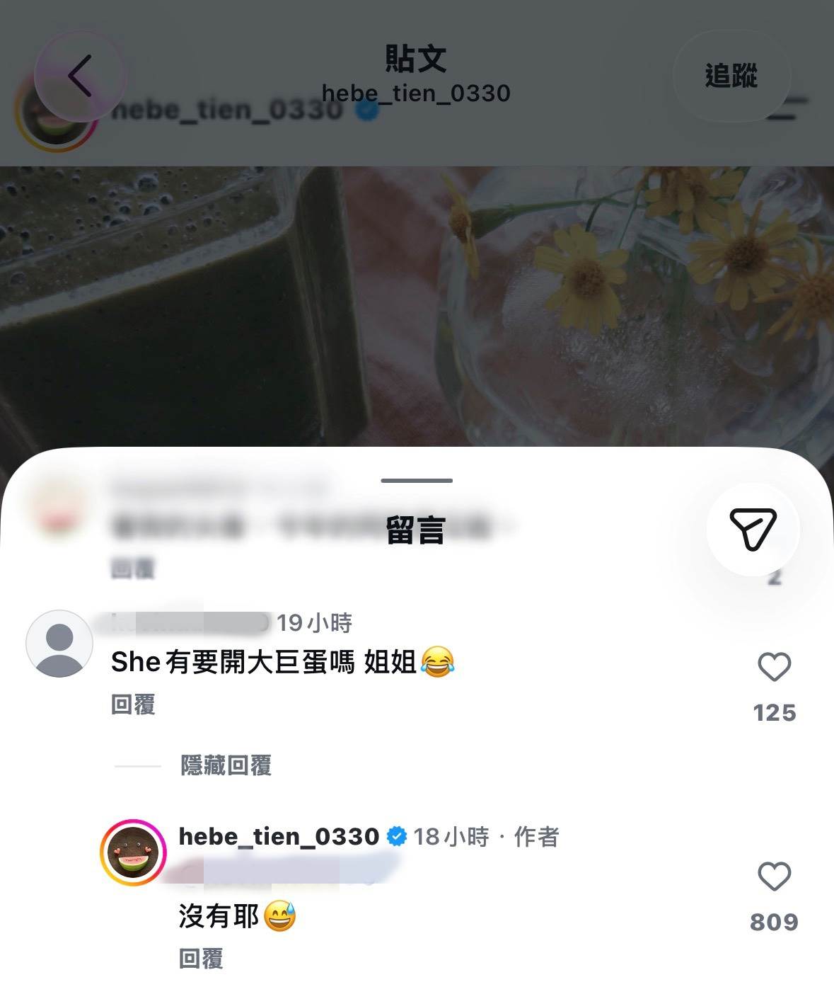圖片來源 : Instagram @hebe_tien_0330