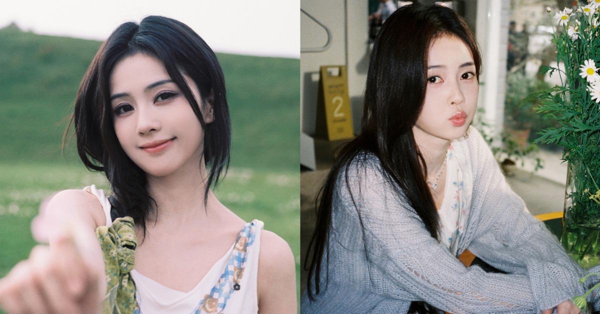 封面圖片來源 : 微博 @今天白鹿加雞腿了嗎