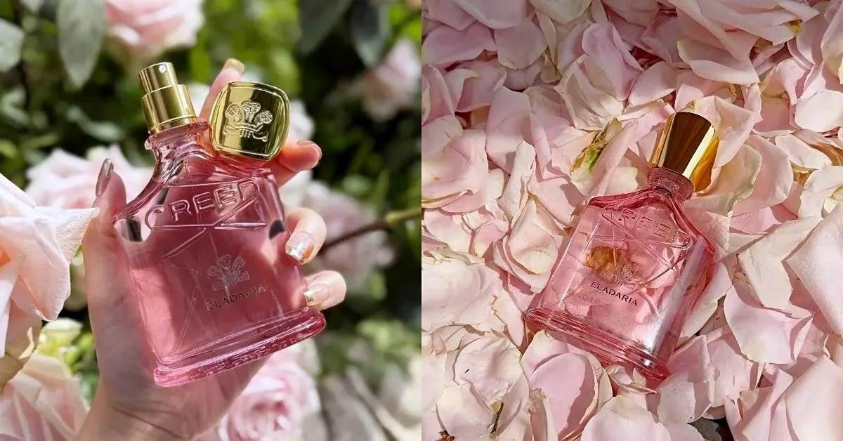 2026玫瑰香水推薦：CREED Eladaria 晨曦玫瑰，30ml NT.7,380/75ml NT.11,800
圖片來源：造咖編輯Vicky拍攝