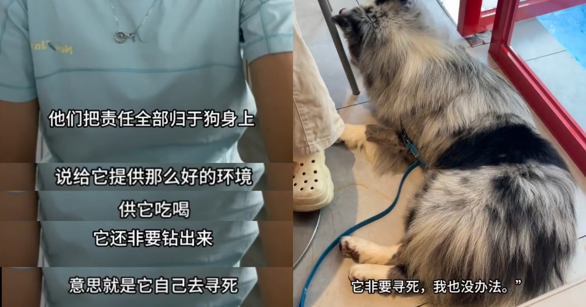 圖片來源：微博