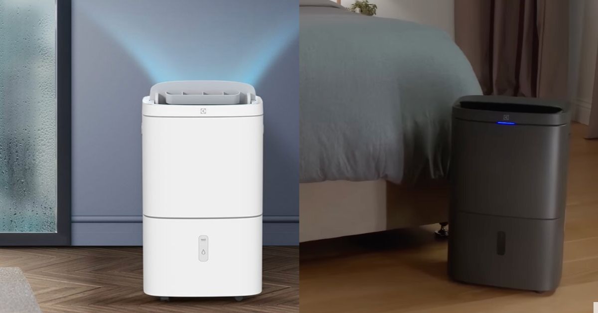 圖片來源：Electrolux、HITACHI