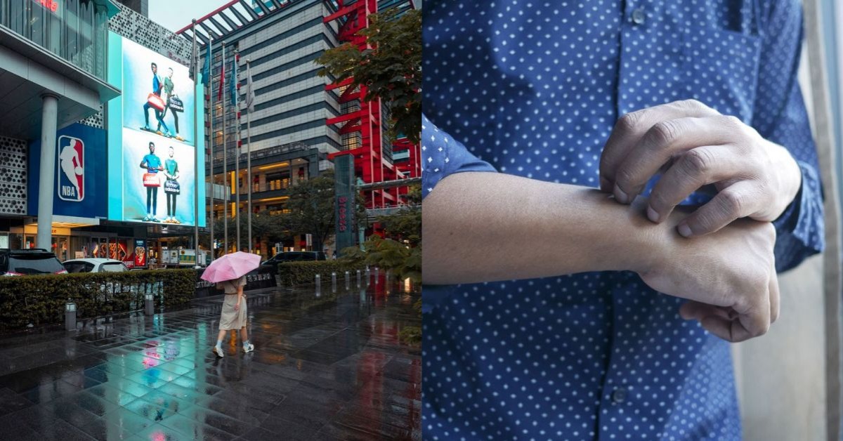 圖片來源：pexels