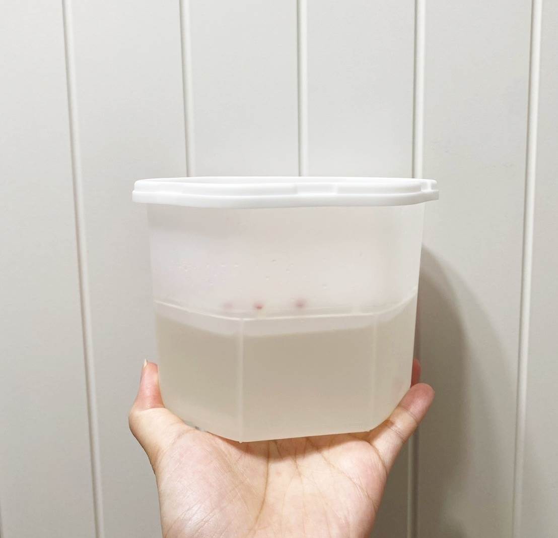 圖片來源：造咖