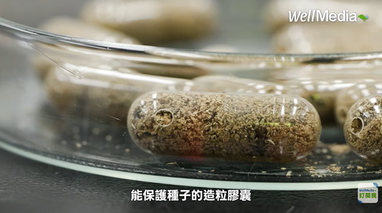 水晶膠體具有保護和給水的功能。圖片來源：宜蘭大學森林暨自然資源學系官網