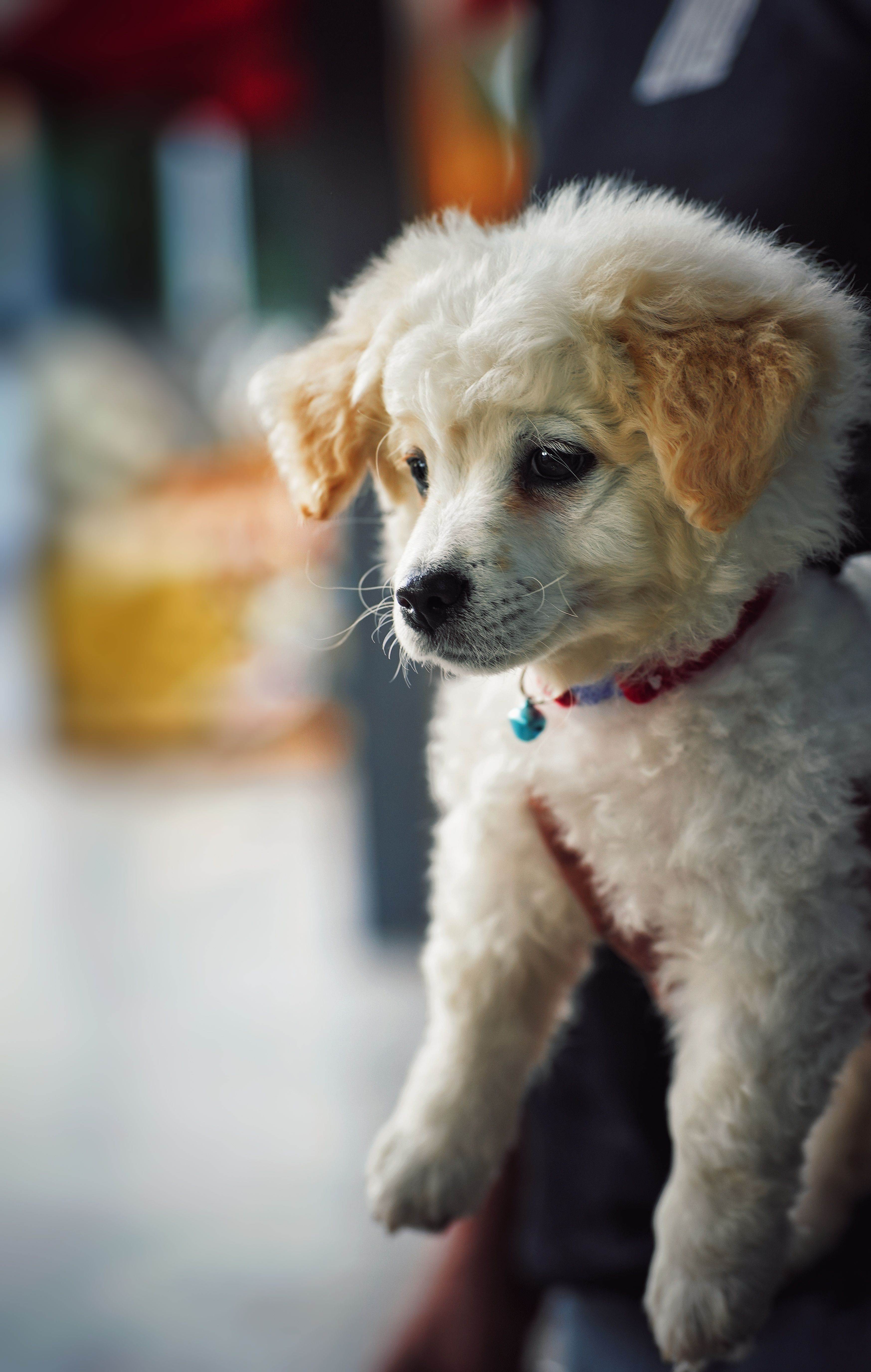 圖片來源：pexels