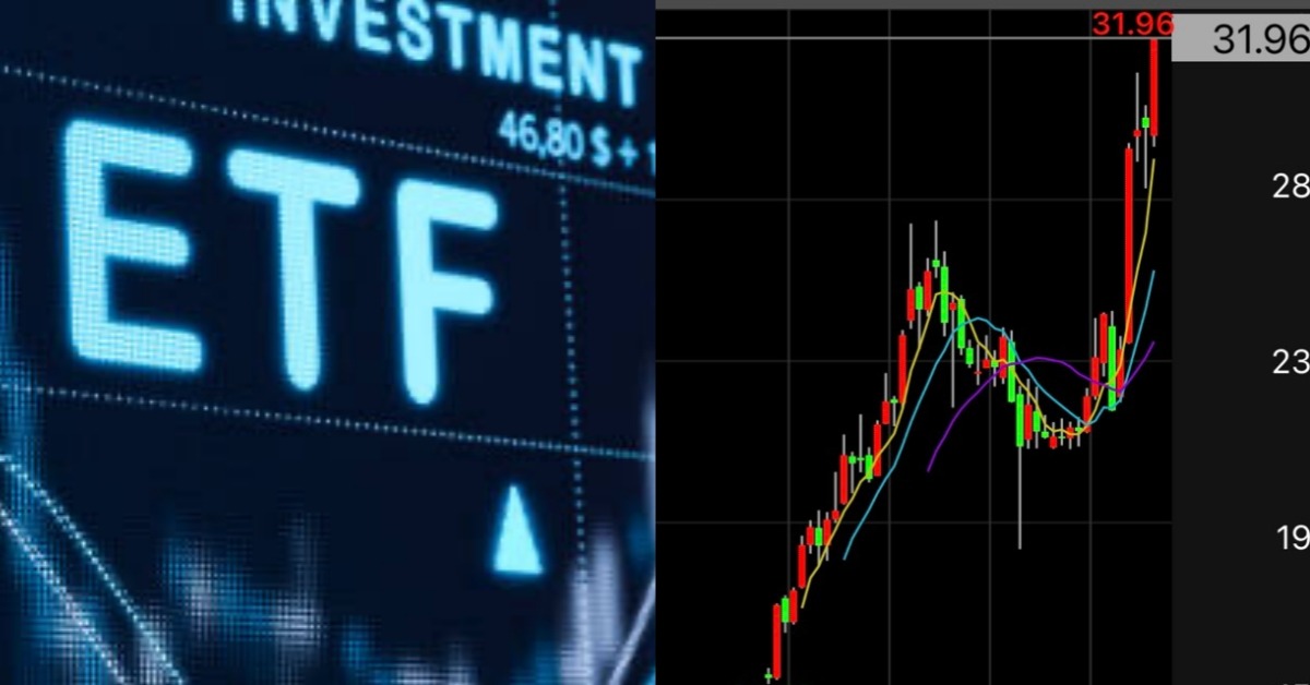 00919宣佈本季配息1.1元。圖片來源：pexels、istockphoto