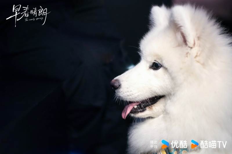 圖片來源：weibo@早春晴朗