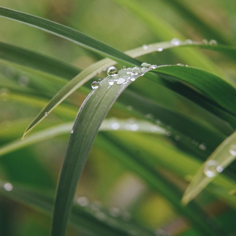 白露來了！命理師揭「5大禁忌」快筆記，點名「2生肖」小心病魔纏身