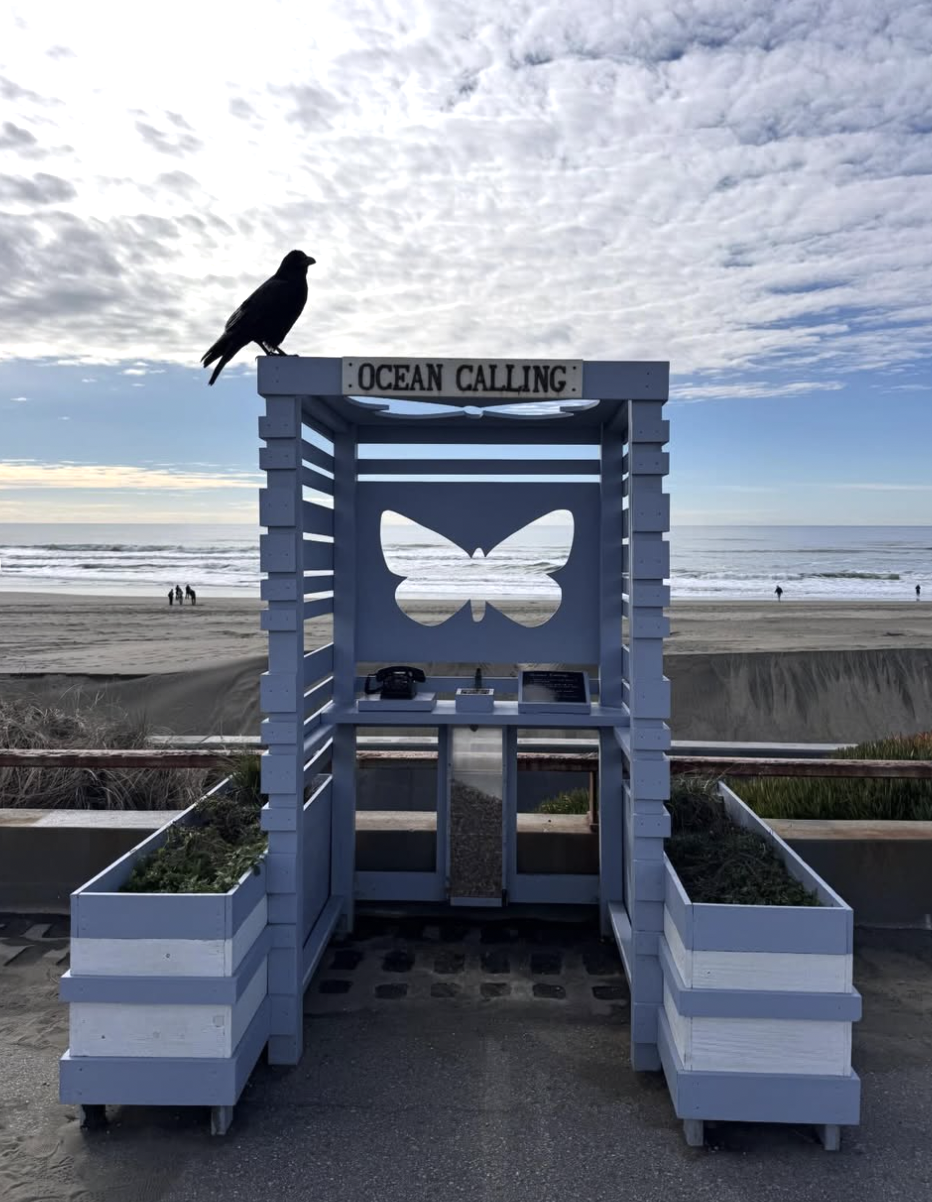圖片來源：oceancallingsf
