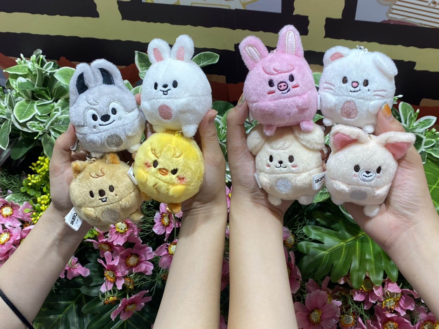 圖片來源：造咖
