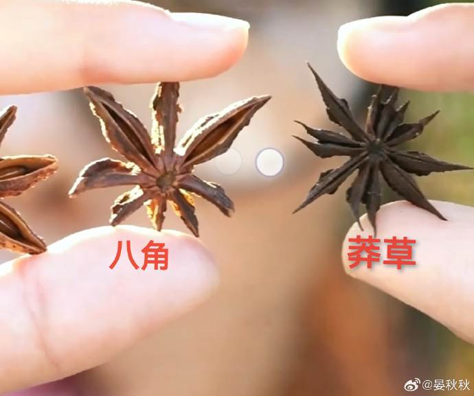 圖片來源：微博