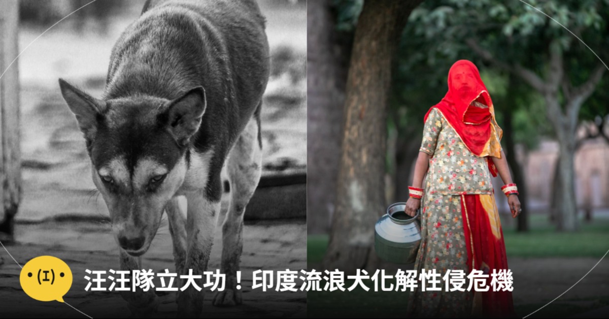 圖片來源：pexels（示意圖）