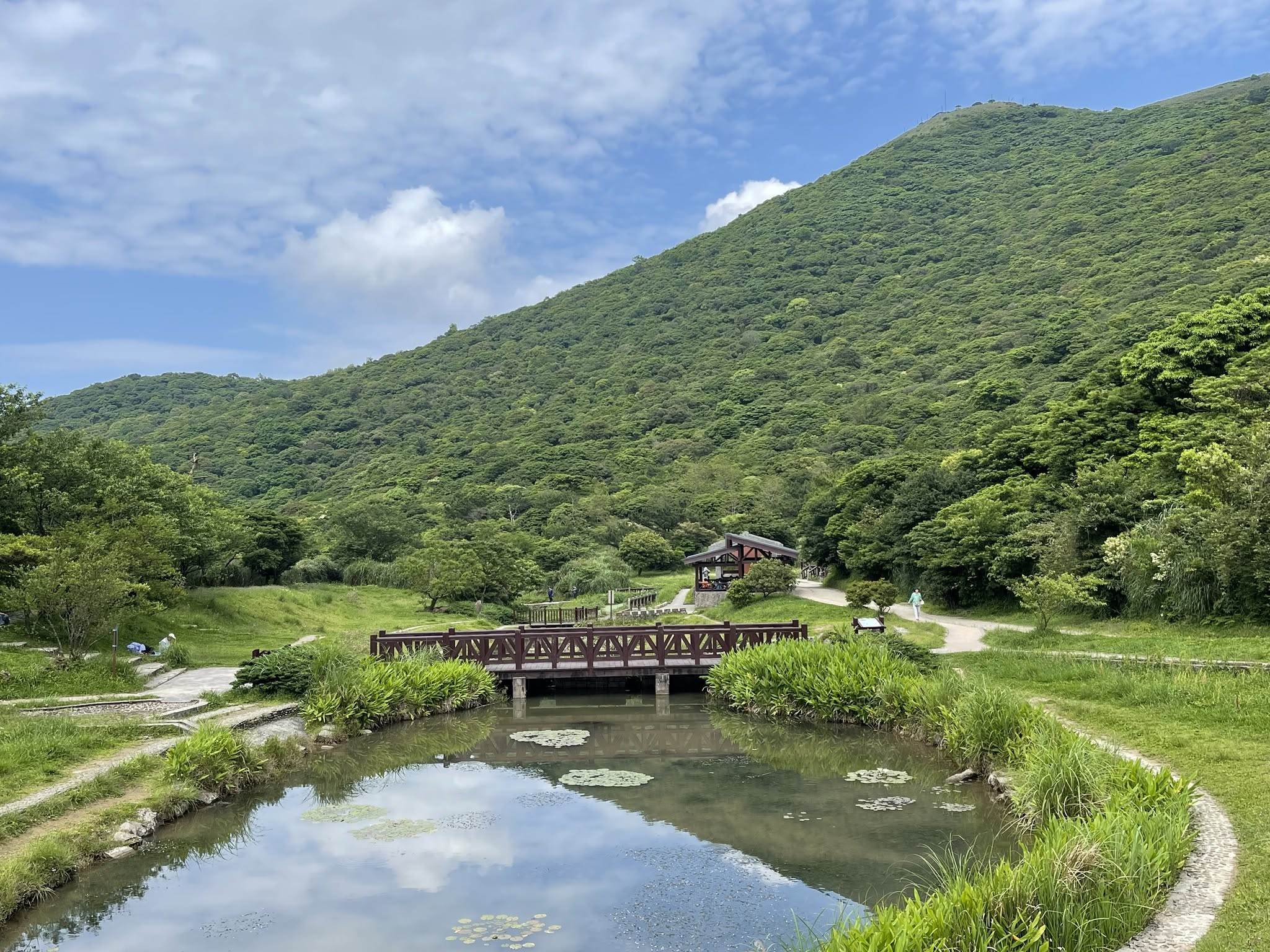 圖片來源：臉書＠陽明山國家公園