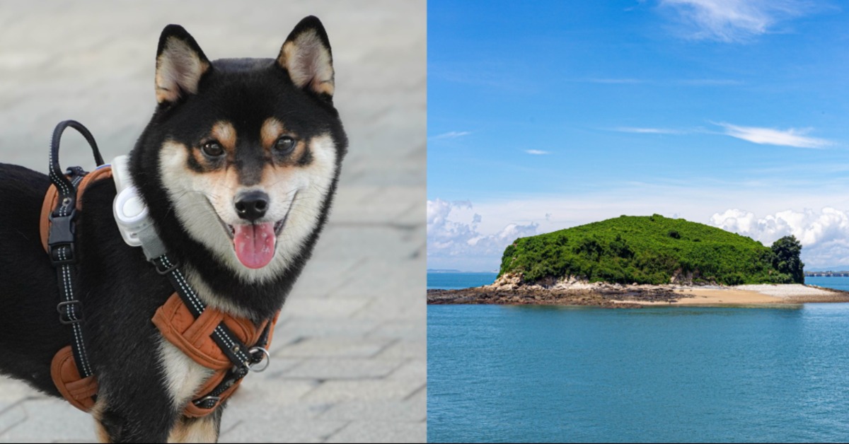 圖片來源:pexels(示意圖)