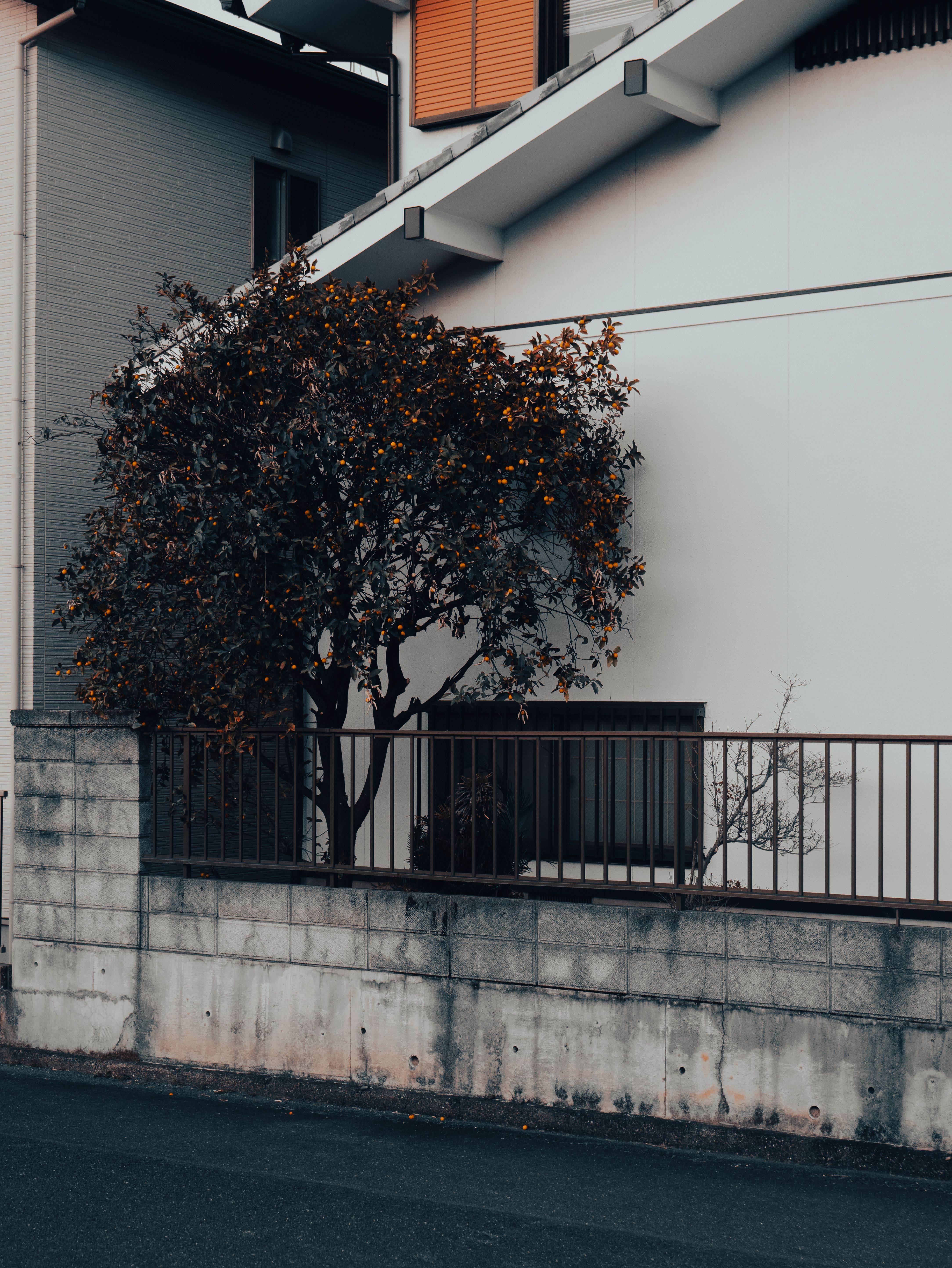 圖片來源：pexels（示意圖）