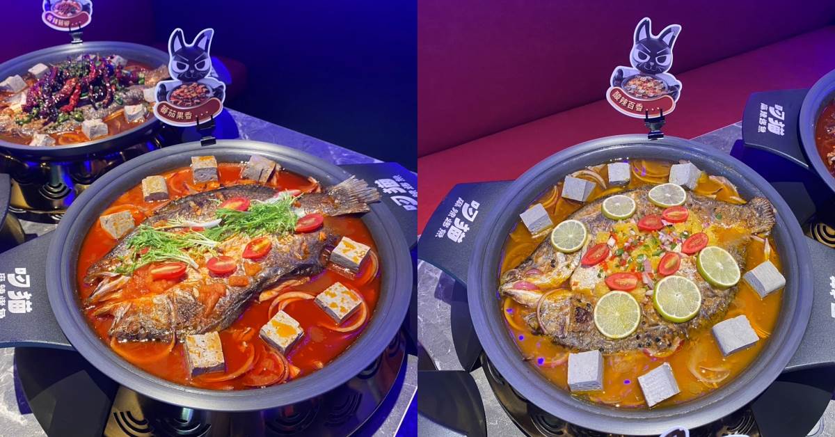 圖片來源：造咖