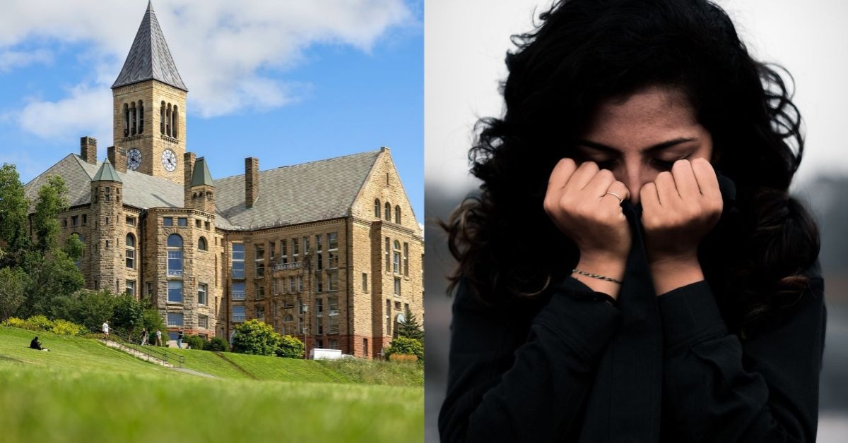 圖片來源：Cornell University、pexels