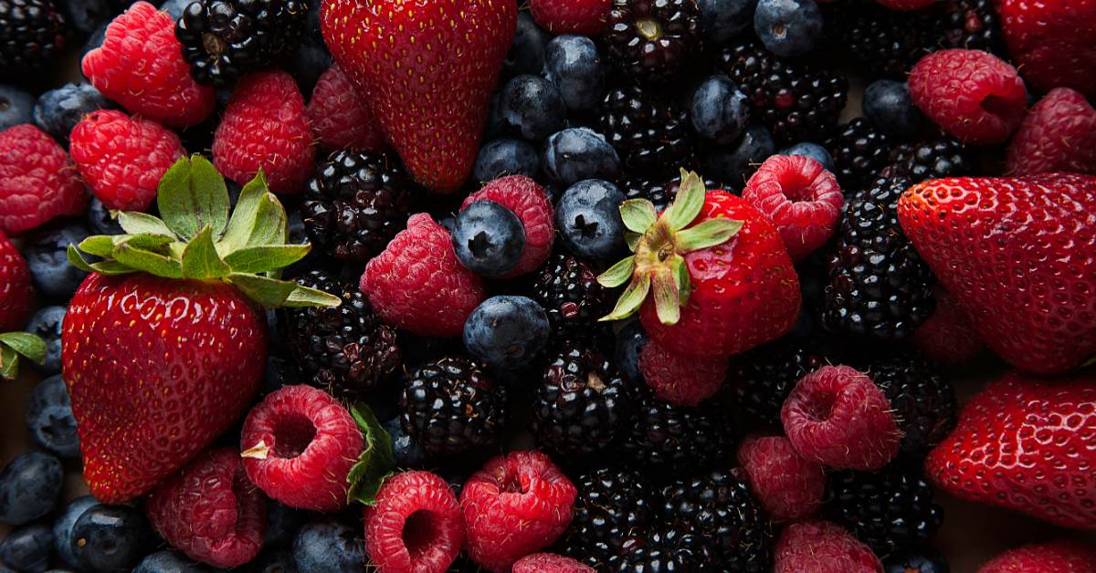 天然瘦瘦針6.多酚類食物
圖片來源：unsplash