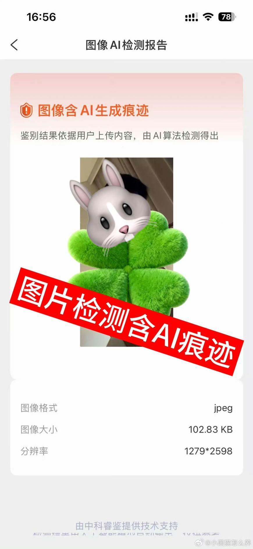圖片來源：微博