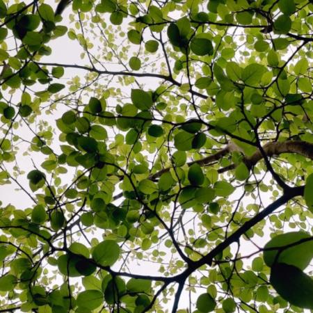 手機裡都是天空、樹影和小花？愛看日常風景的人，藏著4種人格特質