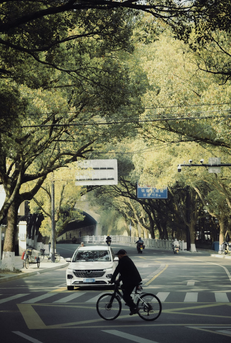 圖片來源：pexels（示意圖）