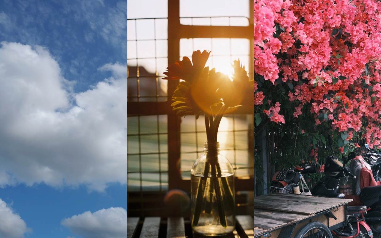 圖片來源：pexels（示意圖）