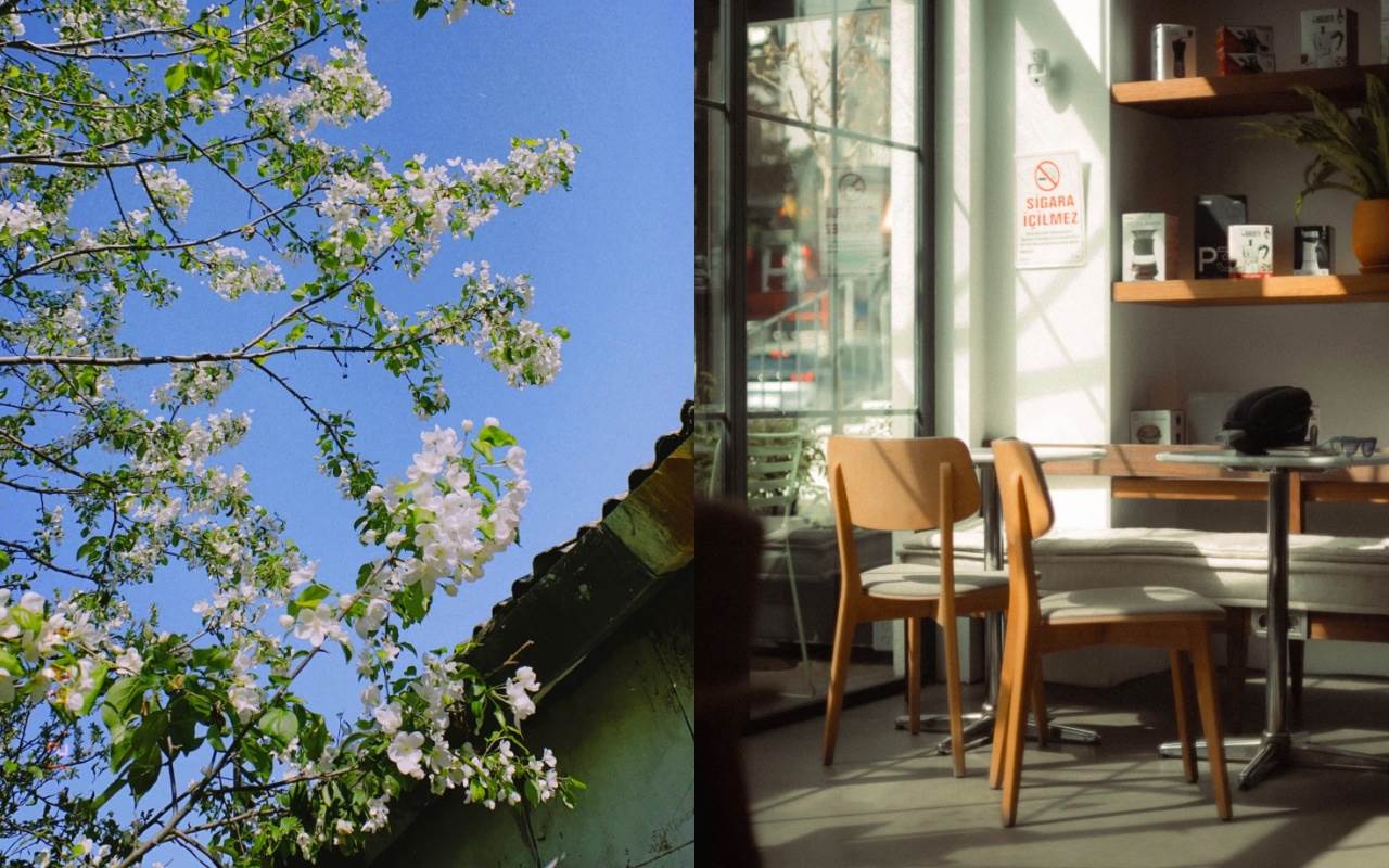 圖片來源：pexels（示意圖）