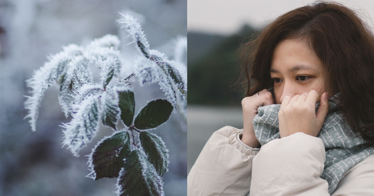 首圖:pexels
