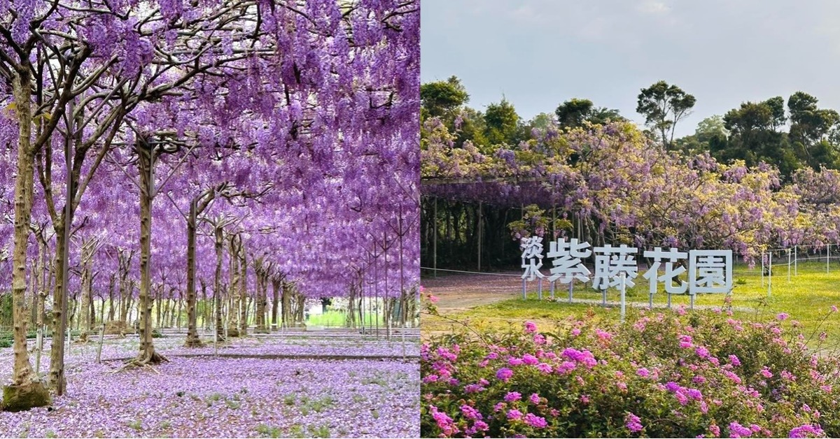 圖片來源:IG@wisteria.tamsui