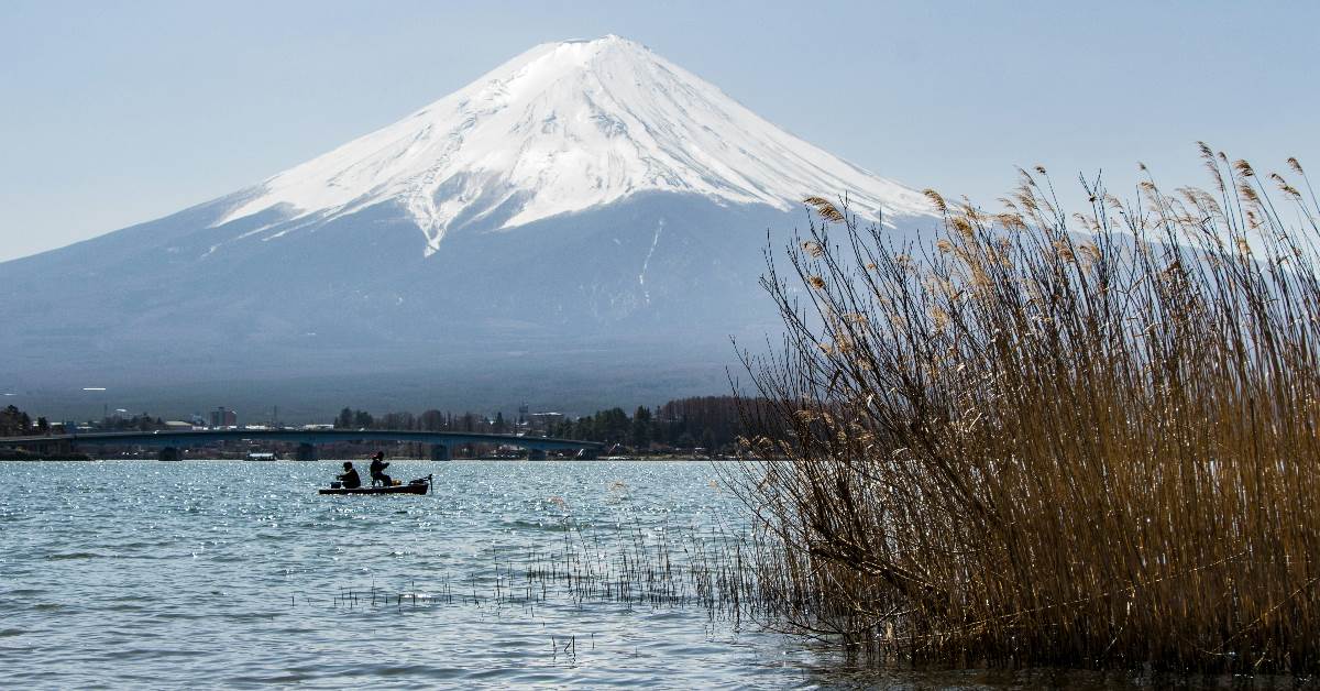 河口湖命案，揭李男「養套殺」手段
圖片來源：unsplash