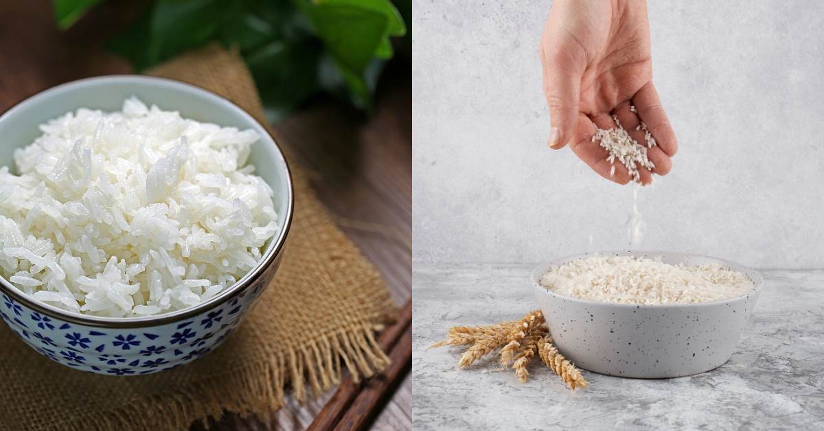 白飯怎麼煮更好吃？居酒屋員工煮飯秘訣
圖片來源：magnific