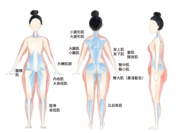 連睡覺都會瘦！跟Kimiko一起多鍛鍊「深層肌」養成明星體線，還能順便養成「吃不胖體質」！