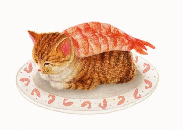 喂～這不是毯子別鑽啦！「超萌貓咪鑽入生魚片假扮握壽司」可愛瞬間，玉子燒這一貫你表情也太酥胡療癒了吧