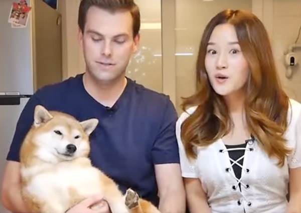 我家汪星人其實是夜貓族？！揭密「柴柴整晚不睡」的秘密：家裡到處巡邏體力也太好啦～