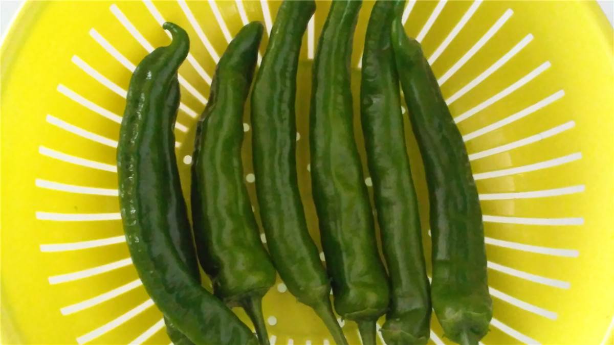 婚前婚後反差大的星座男，婚前獻慇勤婚後沒耐心