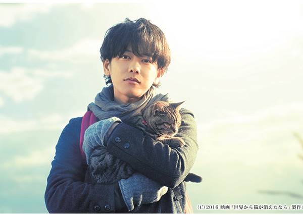 《愛哭鬼推薦》眼淚潰堤淚流不止的日本電影